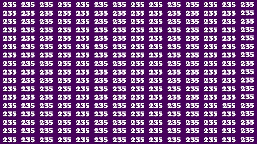 Observation Visual Test: If you have Hawk Eyes Find the Number 255 in 13 Secs