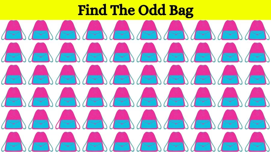 Optical Illusion: If you have Eagle Eyes find the Odd Bag in 18 Seconds