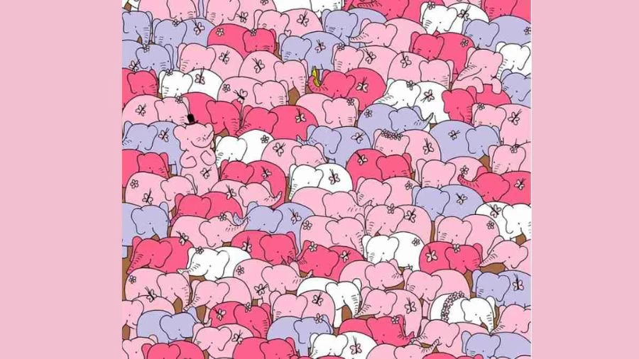 Optical Illusion Brain Challenge - Can you spot the hidden heart among the elephants in 20 secs?