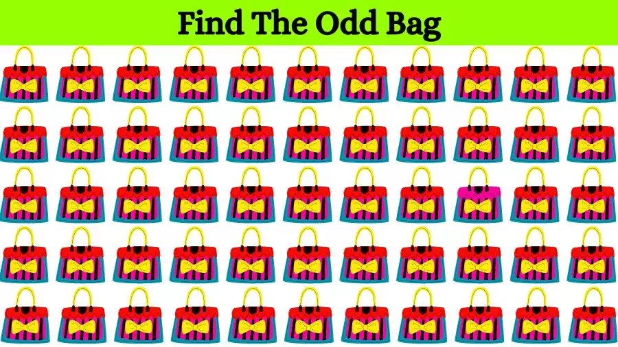 Optical Illusion Brain Challenge: Can you find the Odd Bag in 12 Seconds?