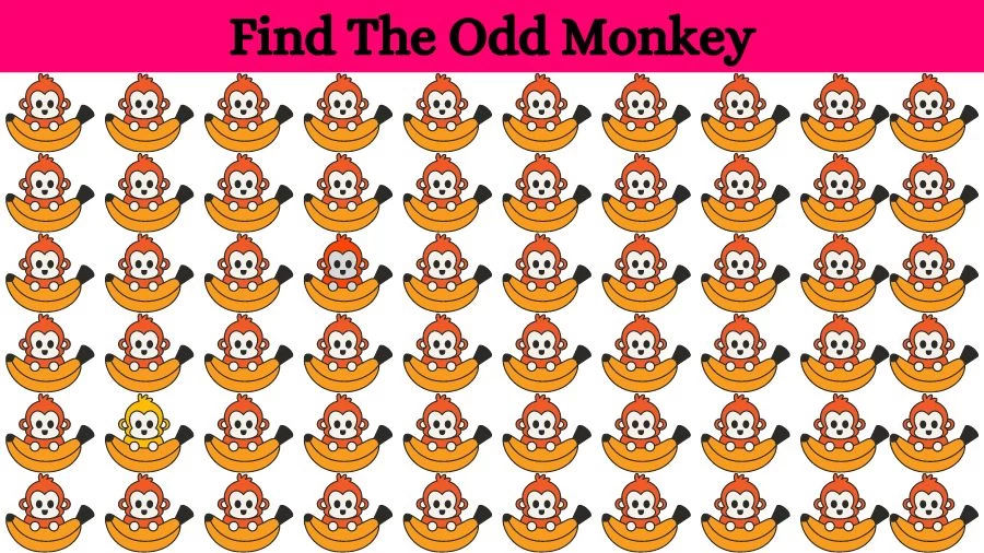 Optical Illusion Brain Challenge: Can you find the Odd Monkey in 12 Seconds?