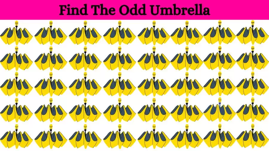 Optical Illusion Brain Challenge: If you have Eagle Eyes find the Odd Umbrella in 15 Seconds