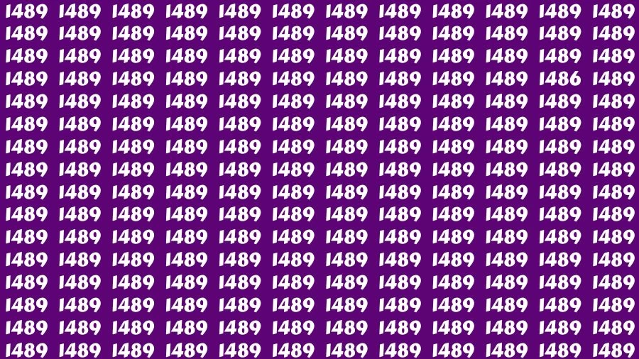 Optical Illusion Brain Challenge: If you have Sharp Eyes Find the Number 1486 among 1489 in 15 Secs