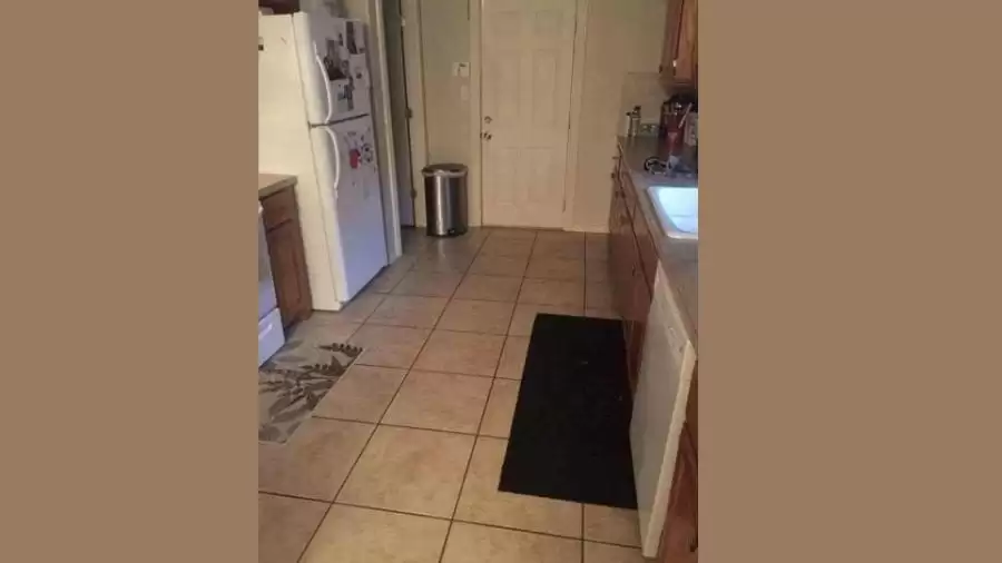 Optical Illusion Brain Challenge: You have 20/20 HD vision spot the hidden dog in the kitchen in under 10 secs