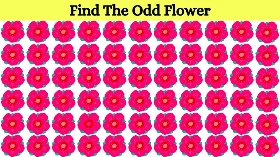 Optical Illusion Eye Test: Can you find the Odd Flower in 20 Seconds?