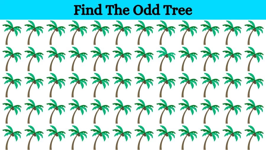 Optical Illusion Eye Test: Can you find the Odd Tree in 20 Seconds?