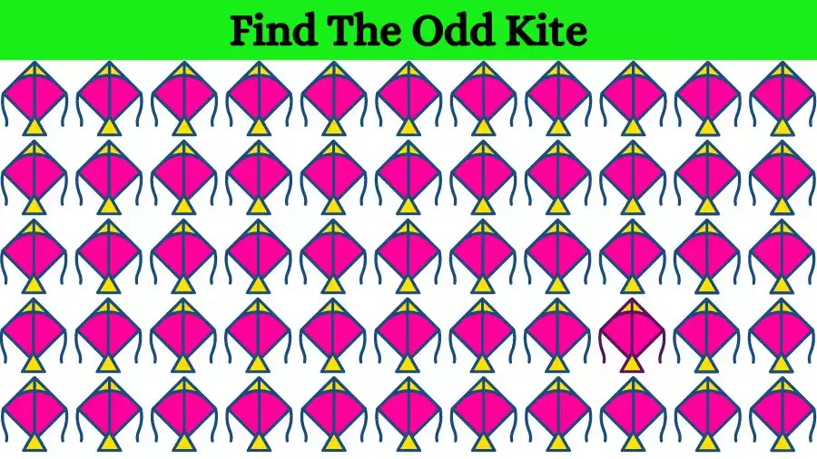 Optical Illusion Eye Test: Try to find the Odd Kite in this Image