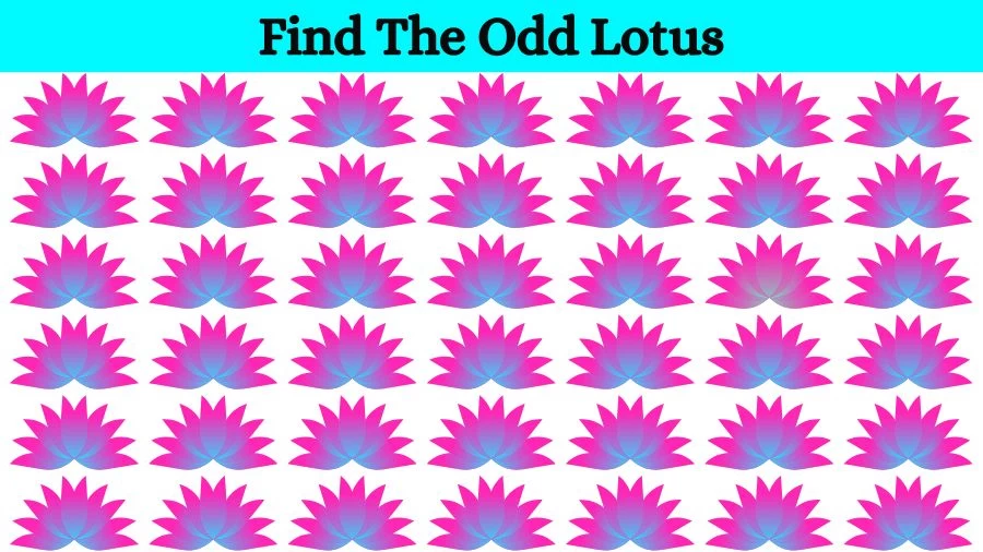 Optical Illusion Eye Test: Try to find the Odd Lotus in this Image