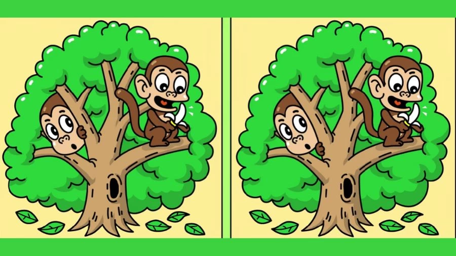 Optical Illusion Spot the Difference Game: If You Have Sharp Eyes Find the 3 Differences Between Two Images Within 18 Seconds?