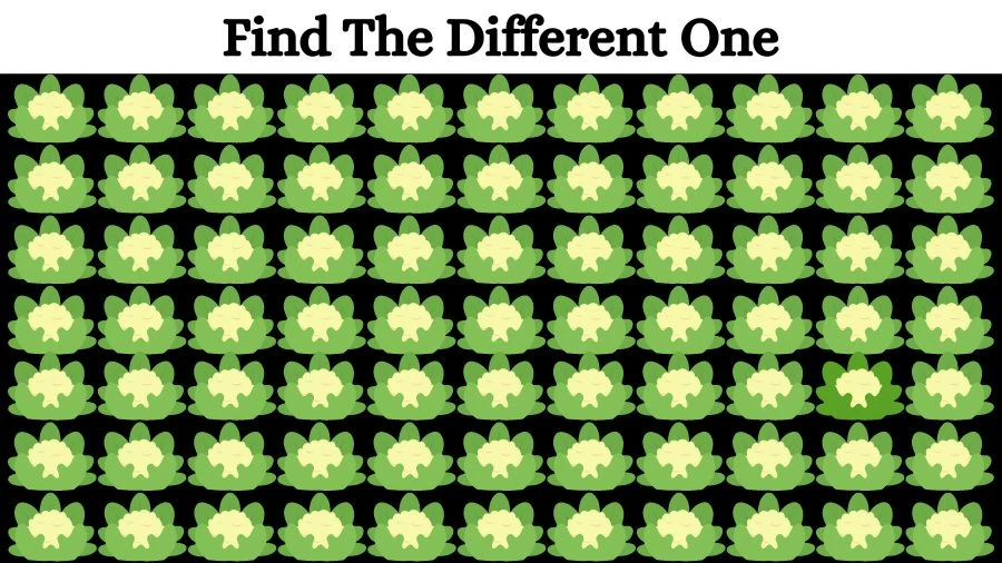 Optical Illusion Visual Test: If you have Eagle Eyes find the Odd Cauliflower in 18 Seconds