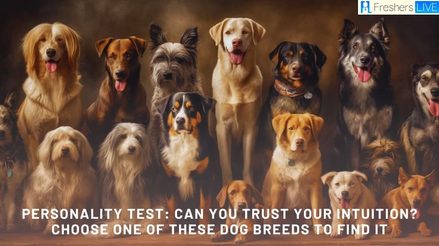 Personality Test: Can You Trust Your Intuition? Choose One Of These Dog Breeds To Find It