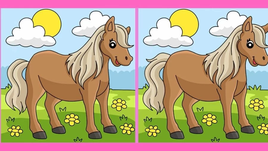 Spot the difference Game: Only a genius can find the 3 differences in less than 20 seconds!