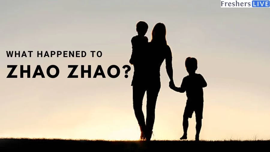 What Happened to Zhao Zhao? A Brutal Death Brooklyn Mom