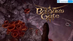 Where to Find the Festering Cove in Baldur's Gate 3? Discovering the Hidden Gem