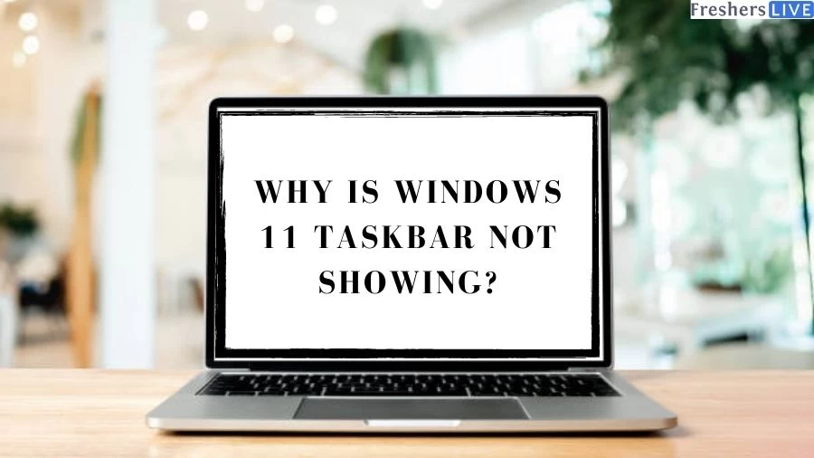 Why is Windows 11 Taskbar Not Showing? How to Fix Windows 11 Taskbar Not Showing?