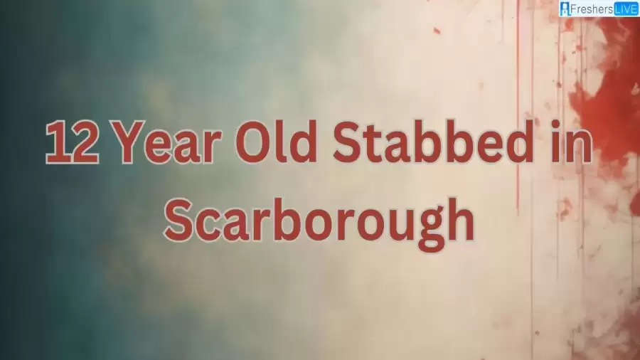 12 Year Old Stabbed in Scarborough, What Happened to 12 Year Old Girl Stabbed and Killed By Her Brother in Toronto?