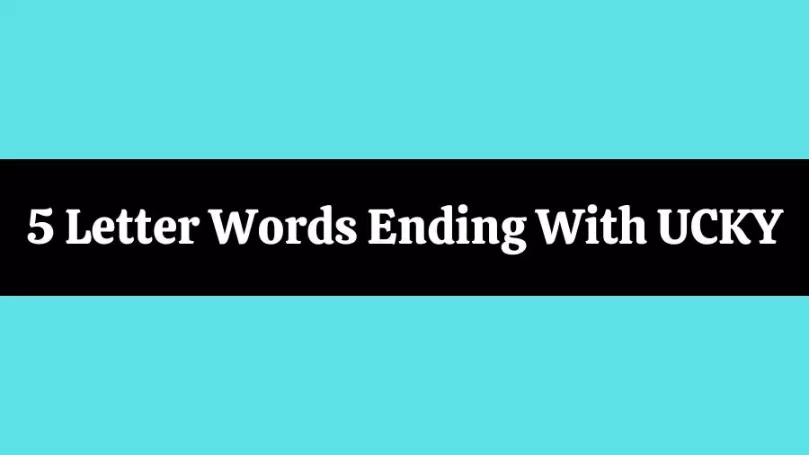 5 Letter Words Ending With UCKY, List of Five Letter Words Ending in UCKY