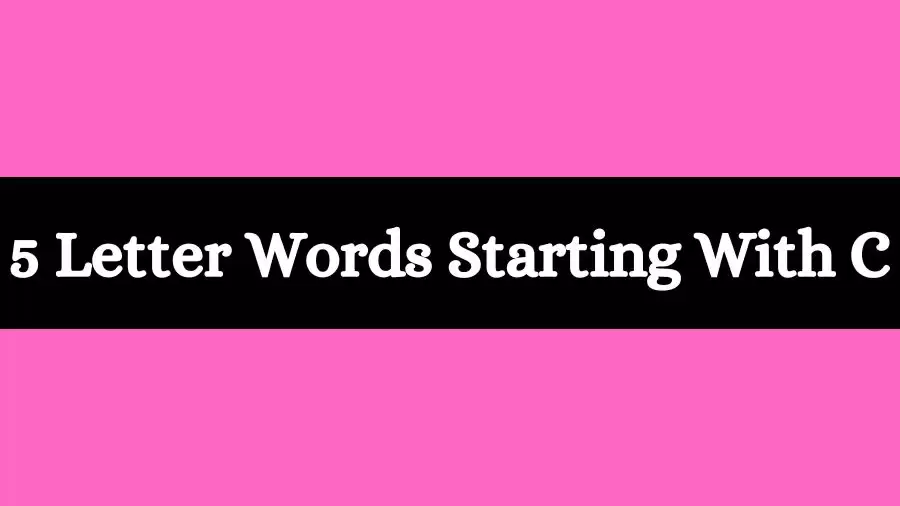 5 Letter Words Starts With C All Words List