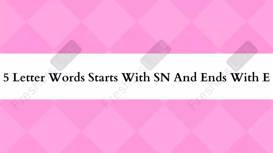 5 Letter Words Starts With SN And Ends With E All Words List