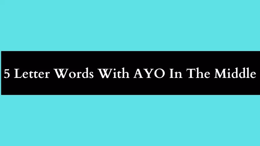 5 Letter Words With AYO In The Middle All Words List