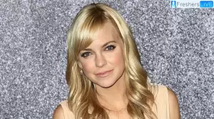 Anna Faris Lip Injections, Know Anna Faris Age, Net Worth, Career, and More