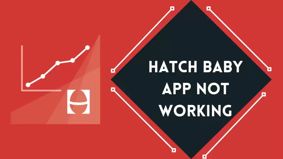 Hatch Baby App Not Working How to Fix Hatch Baby App Not Working Issue?