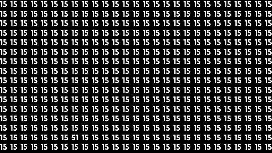 Only 4k Vision People can Find the the Number 51 among 15 in 14 Secs