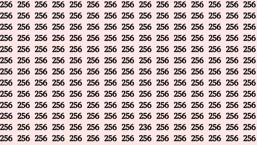 Optical Illusion Brain Challenge: Only 5% People Can Find the Number 236 Among 256 in 12 Seconds