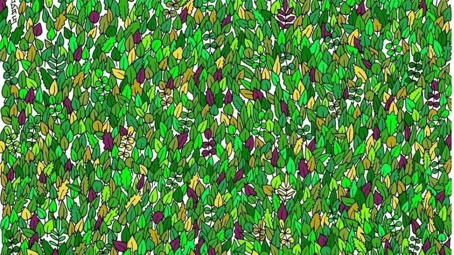 Optical Illusion Eye Test: Only Sharp Eyes Can You Find the Hidden Frog in the Leaves?