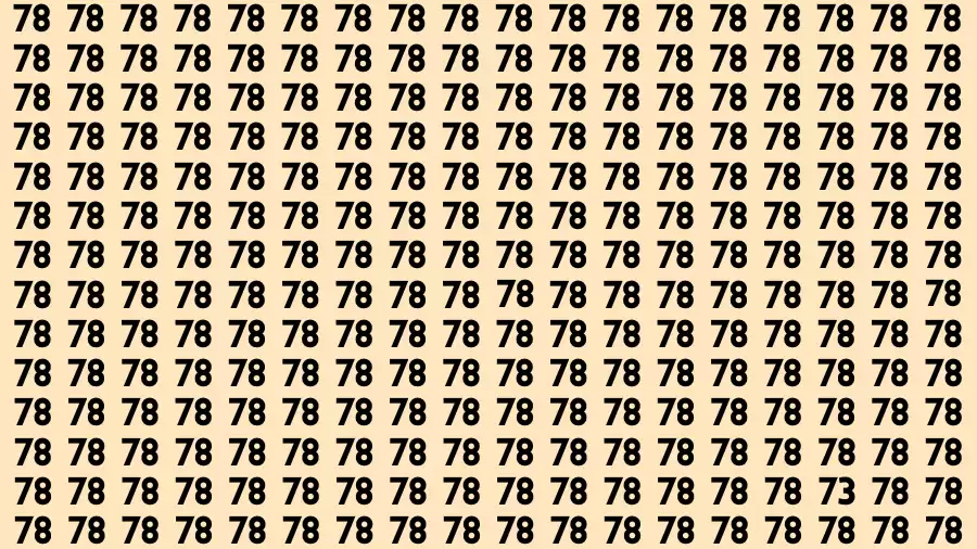 Optical Illusion Visual Test: You need to be eagle eyed to spot hidden number 73 in sea of 78s in 15 seconds