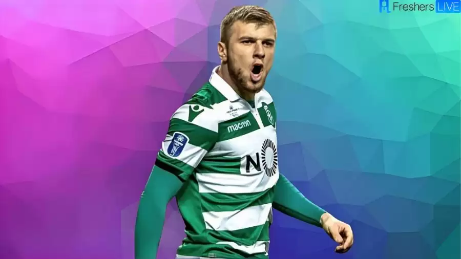 Stefan Ristovski Net Worth in 2023 How Rich is He Now?