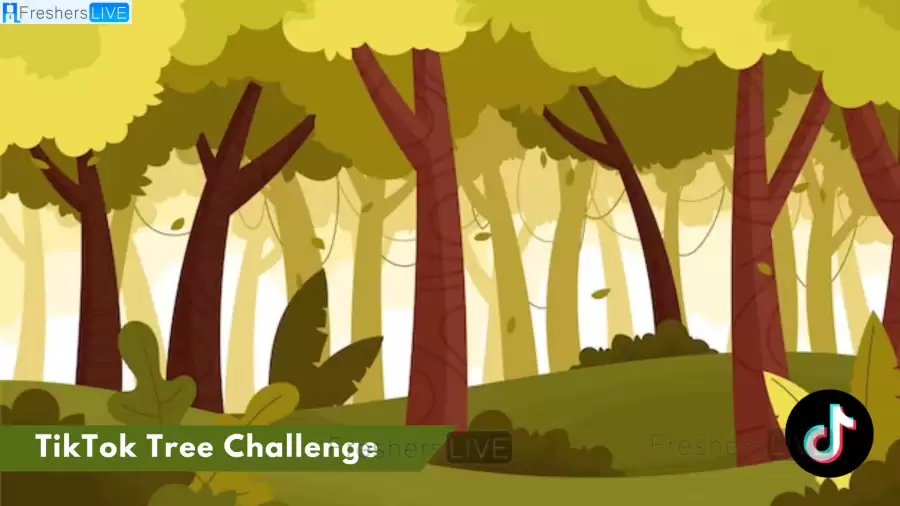 TikTok Tree Challenge, What is Tree Challenge in TikTok? How to Do a Tree Challenge in TikTok?