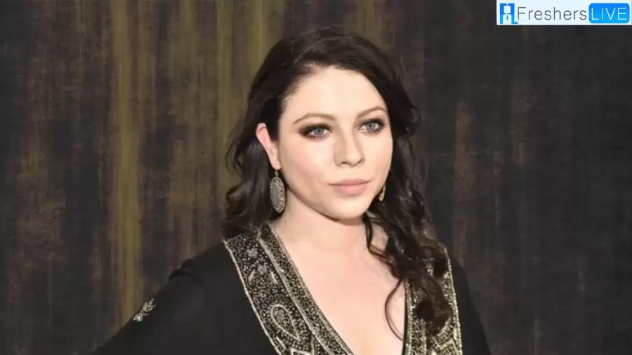 What Happened to Michelle Trachtenberg? Does Michelle Trachtenberg Have Any Illness?