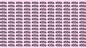 You Have 20/20 Vision if You Can Find the Number 4356 in 12 Secs