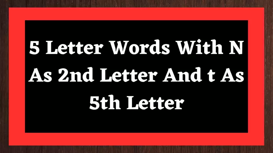 Five Letter Word With N As 2nd Letter And t As 5th Letter Include 16 Word