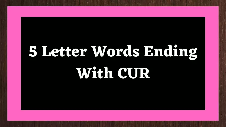 5 Letter Words Ending With CUR All Words List