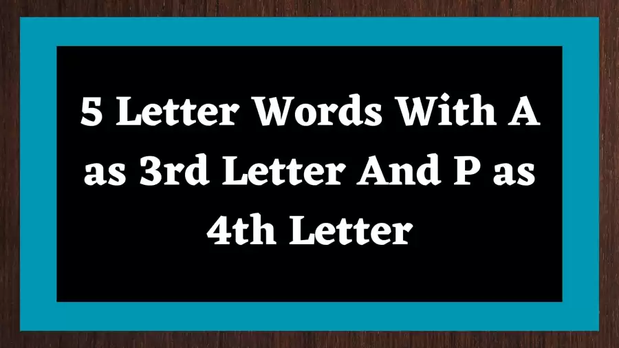 5 Letter Words With A as 3rd Letter And P as 4th Letter, List Of 5 Letter Words With A as 3rd Letter And P as 4th Letter