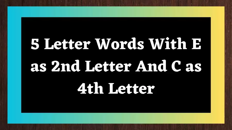 5 Letter Words With E as 2nd Letter And C as 4th Letter Include 59 Words