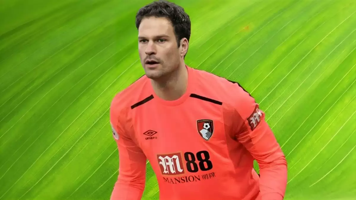 Asmir Begovic Ethnicity, What is Asmir Begovic's Ethnicity?