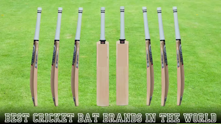 Best Cricket Bat Brands in the World - Top 10 Picks