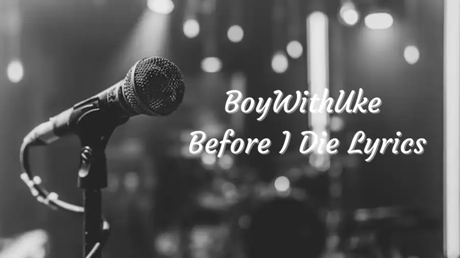 BoyWithUke Before I Die Lyrics know the real meaning of BoyWithUke's Before I Die Song Lyrics