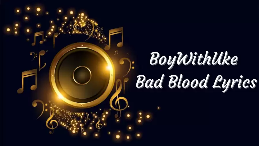 BoyWithUke Bad Blood Lyrics know the real meaning of  BoyWithUke Bad Blood Song Lyrics