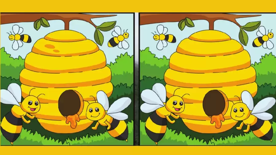 Brain Teaser Visual Test: Only a genius can find the 5 differences in less than 25 seconds!