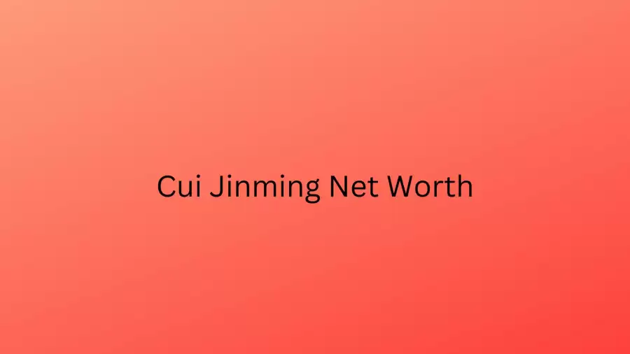 Cui Jinming Net Worth in 2023 How Rich is He Now?