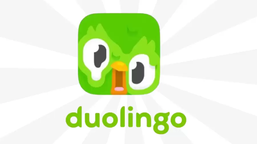 Duolingo's Melting App Icon, Why is Your Duolingo App Melting?