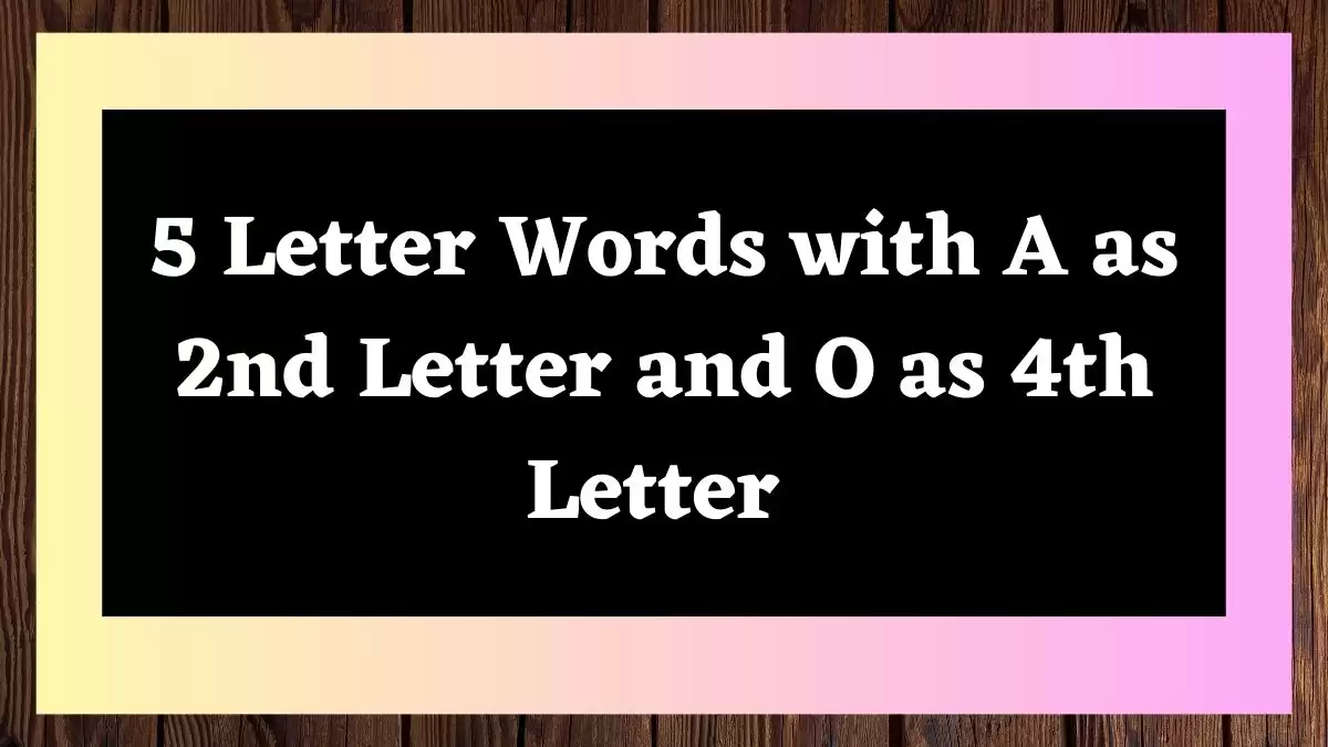 5 Letter Words with A as 2nd Letter and O as 4th Letter All Words List