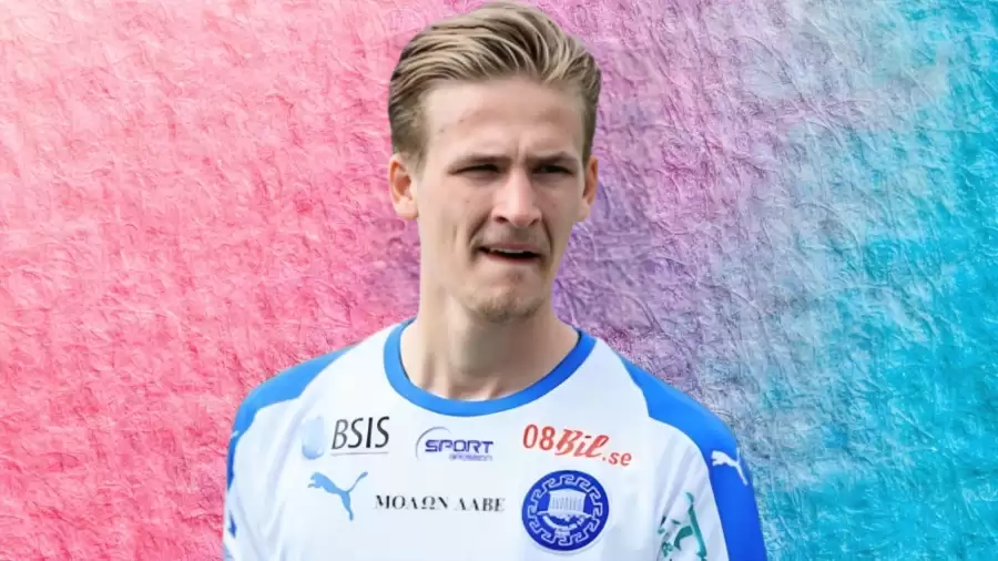 Fredrik Hammar Net Worth in 2023 How Rich is He Now?