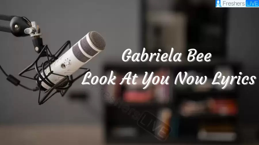 Gabriela Bee Look At You Now Lyrics know the real meaning of Gabriela Bee's Look At You Now Song Lyrics