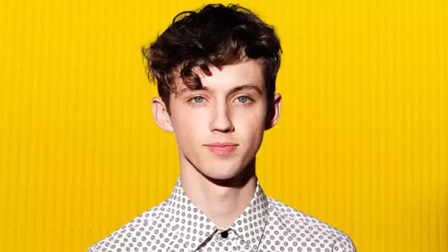 Is Troye Sivan Gay? Troye Sivan Age, Height, Career, Sexuality, Biography, and More