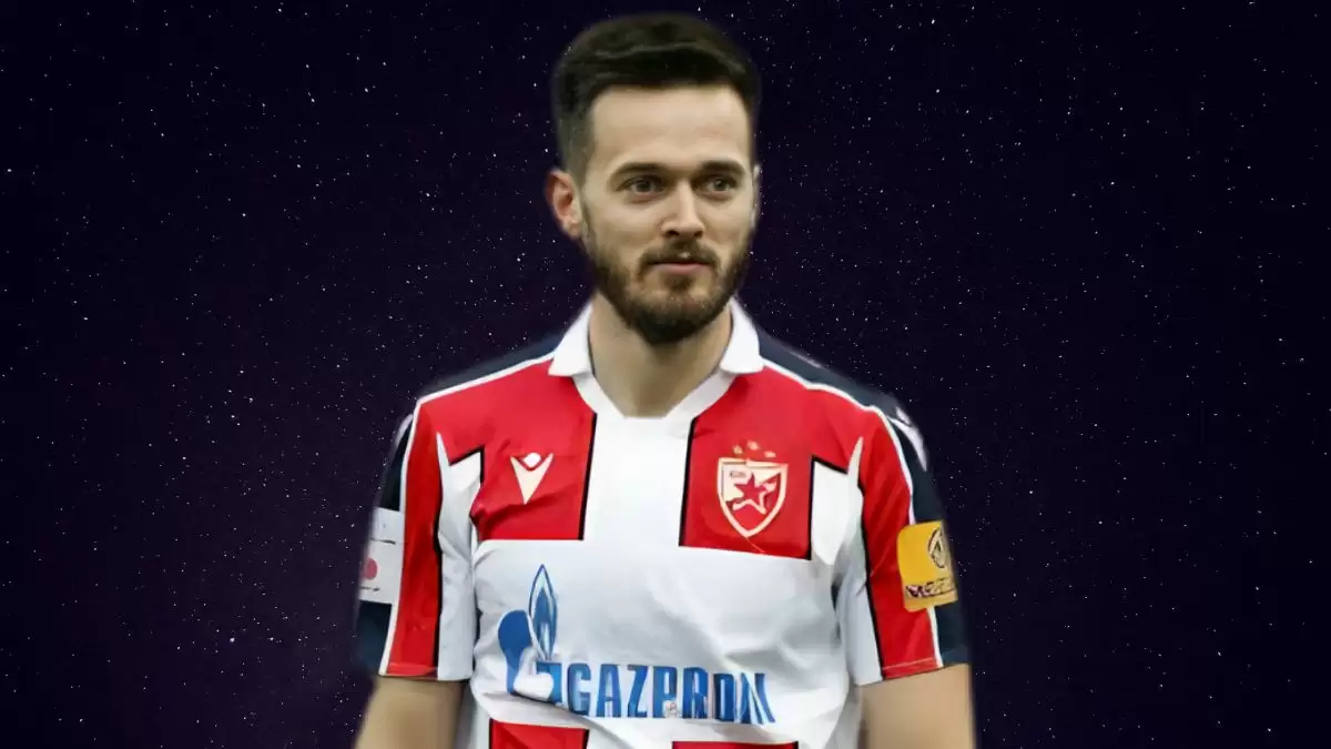 Mirko Ivanic Net Worth in 2023 How Rich is He Now?